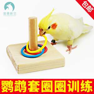 虎皮牡丹玄凤小型鹦鹉玩具套圈圈鸟玩具表演道具训练训鸟用品用具