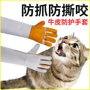 防猫抓伤手套