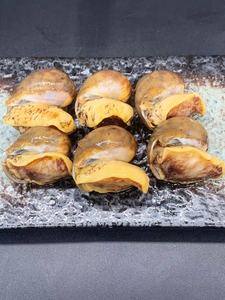 大连假鲍鱼珍珠鲍粘螺海蜗牛老婆脚250g包 4包包邮