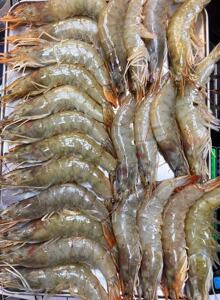 虾大连渤海野生黄哨虾1斤12-13只 口感脆鲜甜 0冰衣 4 斤顺丰包邮