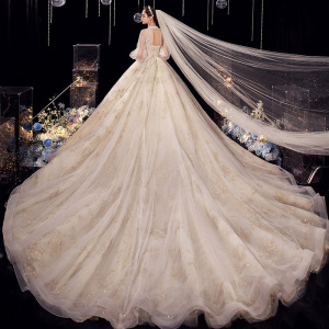 长袖主婚纱礼服2020新款新娘气质法式赫本抖音网红重工星空大拖尾