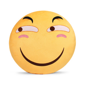 坏笑表情抱枕