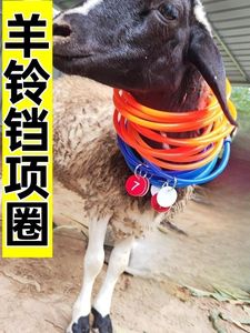 自制羊项圈新款不伤脖防挂刺养殖羔羊用项圈戴记号牌颈圈脖套