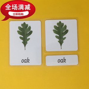 英语启蒙蒙氏教学语言区三段卡户外植物树叶主题leaves单词教具卡