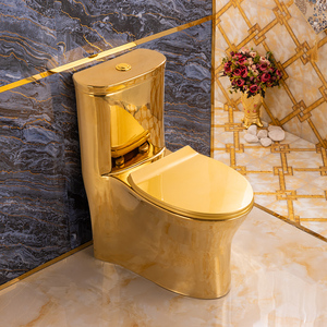 金色马桶欧式家庭彩色土豪金座便器卫生间豪华防臭静音抽水坐便器