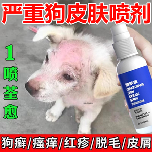 狗狗猫咪皮肤外用喷剂狗癣真菌感染螨虫宠物身上掉毛结痂专用喷剂