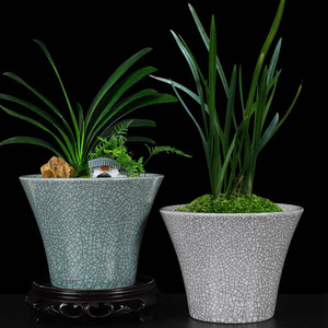 清香木盆景盆兰花专用花盆陶瓷室内蝴蝶兰文竹老桩专用高盆新中式