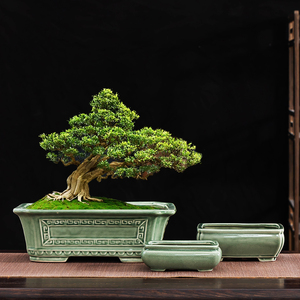 古典小叶榕树盆景花盆桌面摆件长方形绿植造景盆客厅大口径陶瓷盆