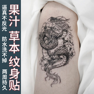 【一份两张】草本纹身贴纸五爪金龙果汁女男半永久不反光防水持久