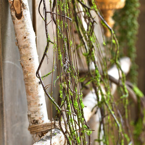 仿真青苔细藤藤柳条枝艺术森系青苔枯枝树藤条弯折造型缠绕装饰