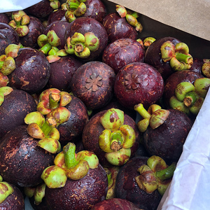 山竹新鲜水果5斤水果顺丰 泰国进口山山竹麻竹油竹整箱云南10