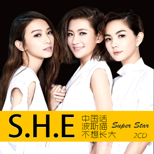 she专辑精选流行新歌曲汽车载cd经典老歌无损音质光盘碟片中国话