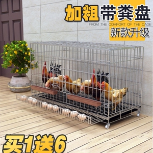 阳台无臭养鸡 笼养鸡笼子  鸡笼家用 大码 特大组装折叠养鸡笼