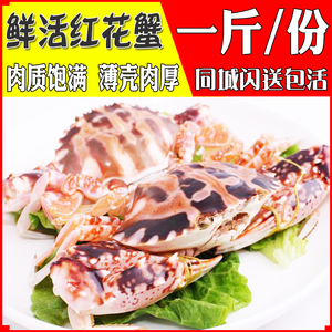 【鲜梭子花蟹肉】鲜梭子花蟹肉品牌,价格 - 阿里巴巴