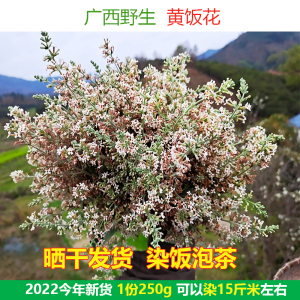 广西2022年新鲜野生密蒙花染饭花糯米花植物染料花米饭黄饭花250g