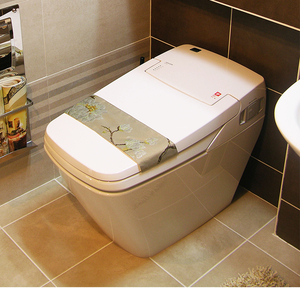 韩国vovo智能马桶