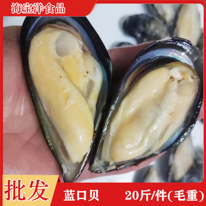 新鲜冷冻半壳蓝口贝大青口海虹淡菜大贻贝烧烤贝类 20斤/件