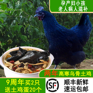 守绿旗舰店天猫乌鸡新鲜土鸡农家散养乌骨鸡肉整只现杀五黑老母鸡走