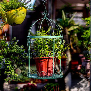 铁艺免打孔墙上置物架ins墙面装饰品高级感壁饰山东超越轻工制品