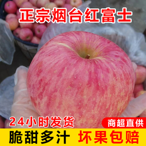 山东烟台栖霞红富士苹果新鲜水果脆甜现摘当季孕妇非嘎啦10斤整箱