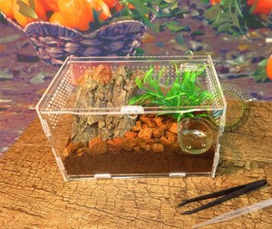 蜗牛宠物房子蜗牛盒子宠窝养蜗牛的专用盒子窝豪华饲养箱别墅造景