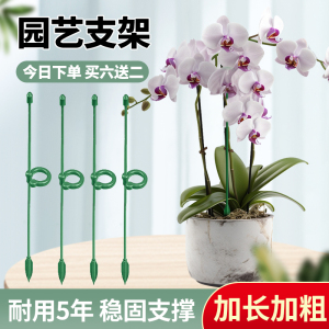 园艺支撑杆花架固定器蝴蝶兰花支架固定花神器植物防倒伏花杆塑形