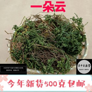 云南野生中药材小春花 一朵云 阴地蕨 蛇不见 新鲜干货250克包邮