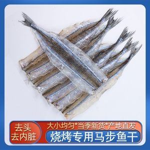 马步鱼干烧烤店专用食材非即食大号鱼干特产干货海鲜针鱼棒棒鱼片