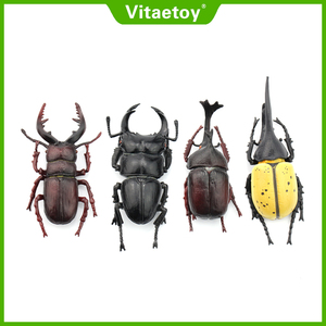 Vitaetoy仿真标本模型虫子昆虫甲虫 独角仙锯锹长戟大兜