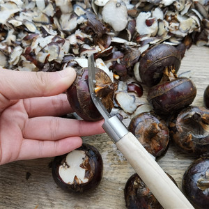 马蹄荸荠削皮刀猕猴桃去皮器削芒果神器丝瓜刨皮刀马蹄专用削皮刀