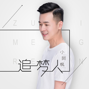 小阿枫cd专辑 爱江山更爱美人  经典流行车载音乐光盘无损音质2碟