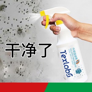 墙面防霉处理去霉