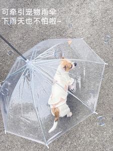 宠物狗狗小狗专用透明牵引雨伞下雨天遛狗神器雨衣防雨小型犬用品