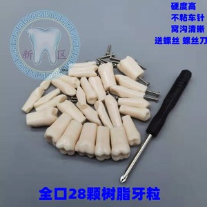 牙科材料 树脂牙齿散牙 仿真牙粒口腔耗材离体牙备牙练习 人工牙