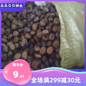 平安豆种子 龙豆种子 罗汉豆种子 九龙藤种子 中药材种子