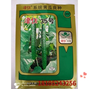 蔬菜种子津优35号黄瓜青菜种子叶绿瓜深绿瓜条顺直四季播种丰产
