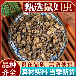 鼠妇虫中药材500g潮虫地虱子鼠子鼠姑团子虫米汤虫鼠妇虫饵料磨粉