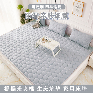 新款榻榻米专用床垫子四季通用床褥子地炕垫打地铺加厚防滑可定制