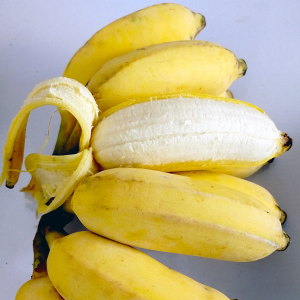 果咖诚信店淘宝广东粉蕉5斤新鲜水果高州香蕉米蕉南蕉丑蕉自然熟