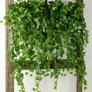 发财树仿真绿植大型假植物背景爬山虎幼儿园遮挡壁挂植物吊蔓垂吊