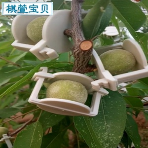 文玩核桃夹子定型模具定型模具夹板压扁核桃夹核桃夹子定型模具夹