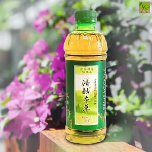 清酷绿凉茶饮料350ml*24瓶低糖健康夏天清凉下火柠檬植物本草饮品