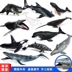 儿童蓝鲸鱼玩具仿真实心抺香鲸灰鲸蓝鲸座头鲸鲨海洋生物动物模型