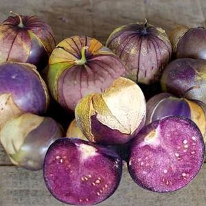 紫姑娘种子怪味东北大鼻子姑娘大紫菇娘果毛酸浆紫咕噜大姑娘果