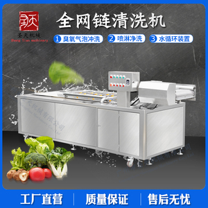 多功能蔬菜清洗机 商用气泡清洗网链式洗菜机 果蔬臭氧洗菜机