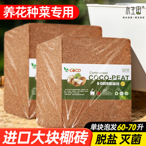 椰砖大块营养土种菜专用椰糠养花通用型土壤种植土脱盐粗耶砖进口