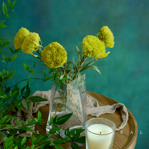 干花花束摆件永生花绿毛球小束真花适合卧室摆的装饰高级感放客厅