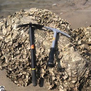 赶海工具挠蛤蜊砸牡蛎子蚝勾不锈钢耙子海边沙滩抓螃蟹小铲子铁锹