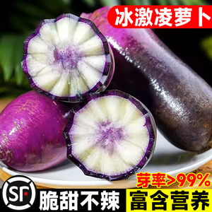 冰激凌糖心水果萝卜种子甜脆四季凤梨盆栽紫冰淇淋萝卜种籽蔬菜孑