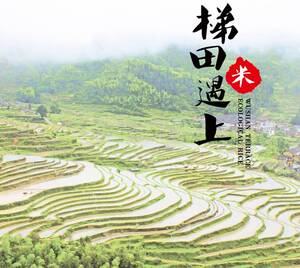 新日期广东梯田五山生态香米5kg高山泉水晚稻丝苗米孕妇粥韶关特